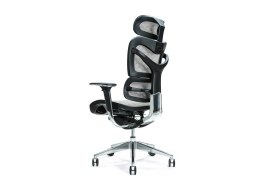BEMONDI Ergonomiczny fotel biurowy ERGO 700 szary