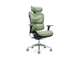 BEMONDI Ergonomiczny fotel biurowy ERGO 700 zielony