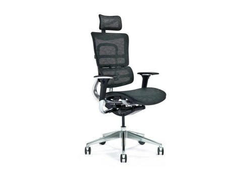 BEMONDI Ergonomiczny fotel biurowy ERGO 800-M czarny BEMONDI Ergonomiczny fotel biurowy ERGO 800-M czarny