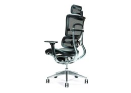 BEMONDI Ergonomiczny fotel biurowy ERGO 800 czarny