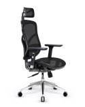 DIABLO CHAIRS Fotel gamingowy DIABLO V-BASIC fotel czarno-czarny