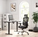 DIABLO CHAIRS Fotel gamingowy DIABLO V-BASIC fotel czarno-czarny