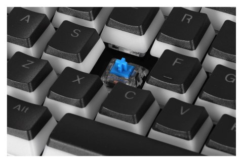 ENDORFY Klawiatura gamingowa ENDORFY Omnis Pudding Blue RGB ENDORFY Klawiatura gamingowa ENDORFY Omnis Pudding Blue RGB