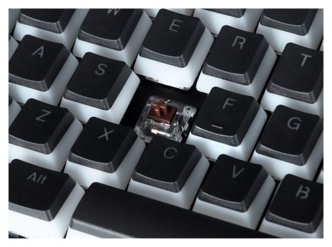 ENDORFY Klawiatura gamingowa ENDORFY Omnis Pudding Brown RGB ENDORFY Klawiatura gamingowa ENDORFY Omnis Pudding Brown RGB