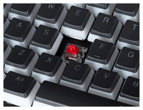 ENDORFY Klawiatura gamingowa ENDORFY Omnis Pudding Red RGB ENDORFY Klawiatura gamingowa ENDORFY Omnis Pudding Red RGB