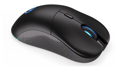 ENDORFY Mysz ENDORFY GEM Plus Wireless ENDORFY Mysz ENDORFY GEM Plus Wireless