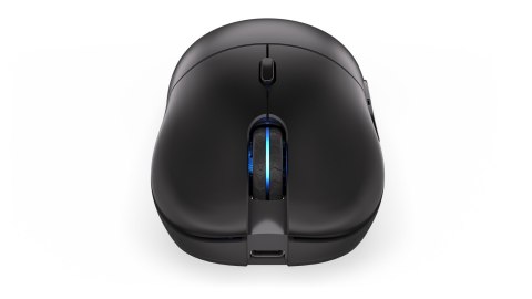 ENDORFY Mysz ENDORFY GEM Plus Wireless ENDORFY Mysz ENDORFY GEM Plus Wireless