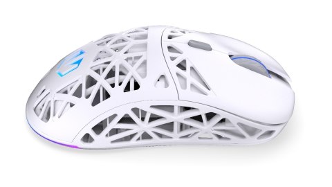ENDORFY Mysz gamingowa ENDORFY LIV Wireless Onyx White