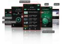 AVerMedia Rejestrator obrazu AVerMedia GAME CAPTURE HD II 61C2850000AD-CED