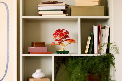 Lego LEGO BOTANICALS 10348 JAPANESE RED MAPLE BONSAI TREE Lego LEGO BOTANICALS 10348 JAPANESE RED MAPLE BONSAI TREE