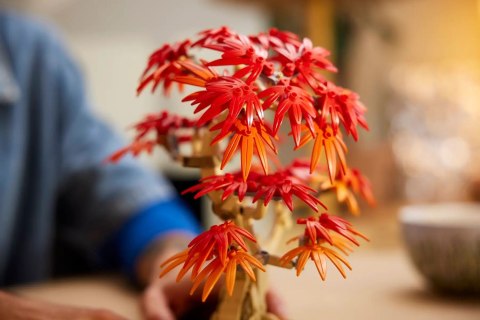Lego LEGO BOTANICALS 10348 JAPANESE RED MAPLE BONSAI TREE Lego LEGO BOTANICALS 10348 JAPANESE RED MAPLE BONSAI TREE
