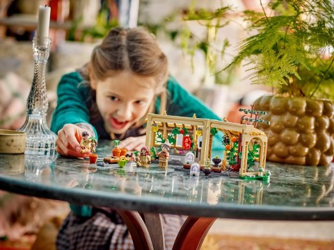 Lego LEGO HARRY POTTER 76445 HOGWLEGO ARTS™ CASTLE: HERBOLOGY CLASS Lego LEGO HARRY POTTER 76445 HOGWLEGO ARTS™ CASTLE: HERBOLOGY CLASS