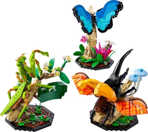 Lego LEGO Ideas 21342 Kolekcja owadów Lego LEGO Ideas 21342 Kolekcja owadów