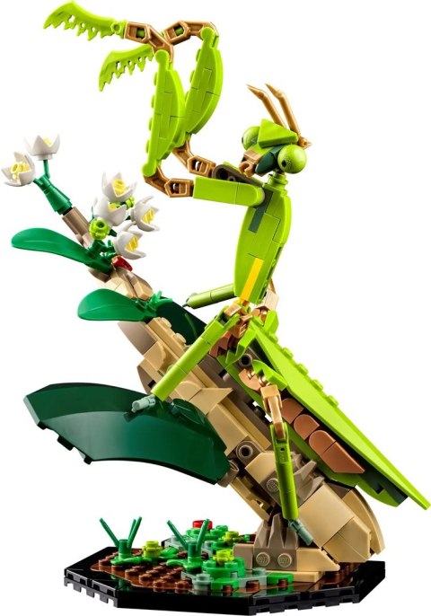 Lego LEGO Ideas 21342 Kolekcja owadów Lego LEGO Ideas 21342 Kolekcja owadów