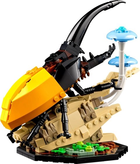 Lego LEGO Ideas 21342 Kolekcja owadów Lego LEGO Ideas 21342 Kolekcja owadów