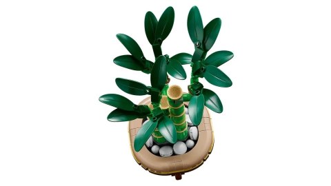 Lego LEGO ICONS 10344 Botanicals - Dracena sandera Lego LEGO ICONS 10344 Botanicals - Dracena sandera