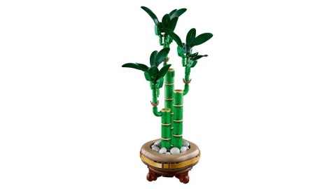 Lego LEGO ICONS 10344 Botanicals - Dracena sandera Lego LEGO ICONS 10344 Botanicals - Dracena sandera