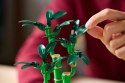 Lego LEGO ICONS 10344 Botanicals - Dracena sandera