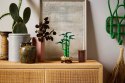 Lego LEGO ICONS 10344 Botanicals - Dracena sandera