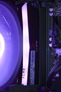 Actina Actina ENDORFY 5600/16GB/1TB/RTX4060/600W