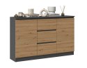 TOP E SHOP Komoda 2D3S 120x30xH75 antracyt/artisan