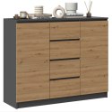 TOP E SHOP Komoda 2D4S 120x40xH97 antracyt/artisan