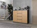 TOP E SHOP Komoda 2D4S 120x40xH97 antracyt/artisan