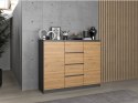 TOP E SHOP Komoda 2D4S 120x40xH97 antracyt/artisan
