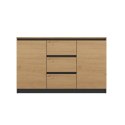 TOP E SHOP Komoda COSTA 1D3S+2D3S antracyt/artisan
