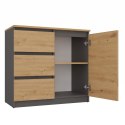 TOP E SHOP Komoda COSTA 1D3S+2D3S antracyt/artisan