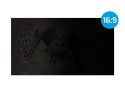 NATEC NATEC FILTR PRYWATYZUJĄCY OWL 27" 16:9 NFP-2118