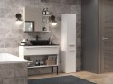 TOP E SHOP Szafka łazienkowa NEL II 31x30xH174 biel mat
