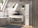 TOP E SHOP Szafka łazienkowa NEL IV 31x30xH174 biel mat