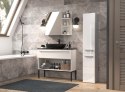 TOP E SHOP Szafka łazienkowa NEL IV 31x30xH174 biel połysk