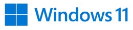 Microsoft MS Windows 11 Pro FPP 64-bit EN Intl