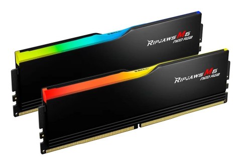 G.SKILL G.SKILL TRIDENT NEO AMD DDR5 2X32GB 6000MHZ CL36-36 BLACK F5-6000J3636F32GX2-RM5NRK G.SKILL G.SKILL TRIDENT NEO AMD DDR5 2X32GB 6000MHZ CL36-36 BLACK F5-6000J3636F32GX2-RM5NRK