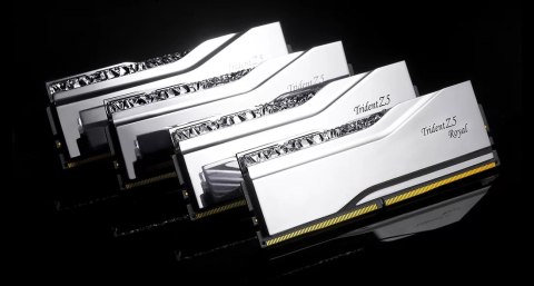 G.SKILL G.SKILL TRIDENT Z5 ROYAL RGB DDR5 2X32GB 6400MHZ CL32 XMP3 SILVER F5-6400J3239G32GX2-TR5S G.SKILL G.SKILL TRIDENT Z5 ROYAL RGB DDR5 2X32GB 6400MHZ CL32 XMP3 SILVER F5-6400J3239G32GX2-TR5S