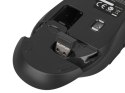 NATEC Zestaw klawiatura + mysz membranowa NATEC Stingray NZB-1440 (USB (Radio 2.4 GHz); (US); kolor czarny; optyczna; 1600 DPI, 800 DP