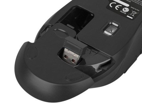 NATEC Zestaw klawiatura + mysz membranowa NATEC Stingray NZB-1440 (USB (Radio 2.4 GHz); (US); kolor czarny; optyczna; 1600 DPI, 800 DP NATEC Zestaw klawiatura + mysz membranowa NATEC Stingray NZB-1440 (USB (Radio 2.4 GHz); (US); kolor czarny; optyczna; 1600 DPI, 800 DP