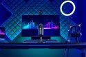 RAZER Mikrofon Razer Seiren V2 X