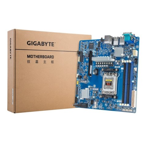 Gigabyte Płyta główna Gigabyte MC13-LE1 1x AM5 AMD Epyc 4004/Ryzen 7000 B650E (4xDIMM, 4x SATA, 1xM.2, 2x10Gbe, IPMI, mATX) Gigabyte Płyta główna Gigabyte MC13-LE1 1x AM5 AMD Epyc 4004/Ryzen 7000 B650E (4xDIMM, 4x SATA, 1xM.2, 2x10Gbe, IPMI, mATX)