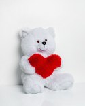Go Gift Miś FRANK 50cm biały