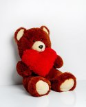 Go Gift Miś FRANK 50cm brązowy