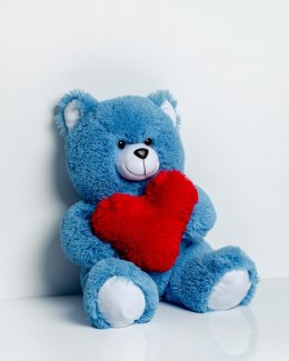Go Gift Miś FRANK 50cm niebieski