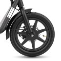 Manta Multimedia Sp. z o.o. Skuter elektryczny Manta Flinston Mes 1402J