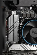 Action Actina WS i5-14400/16GB/1TBSSD/RTXA2000/650W/W11P
