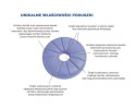 ARmedical Ortopedyczna poduszka do siedzenia "PERFECT BALANCE"