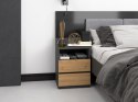 TOP E SHOP Szafka nocna M1 40x32xH59 antracyt/artisan
