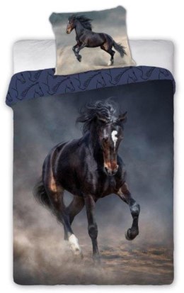 Faro Pościel młodzieżowa 04 HORSES TORNADO 140x200cm + poduszka 70x90cm