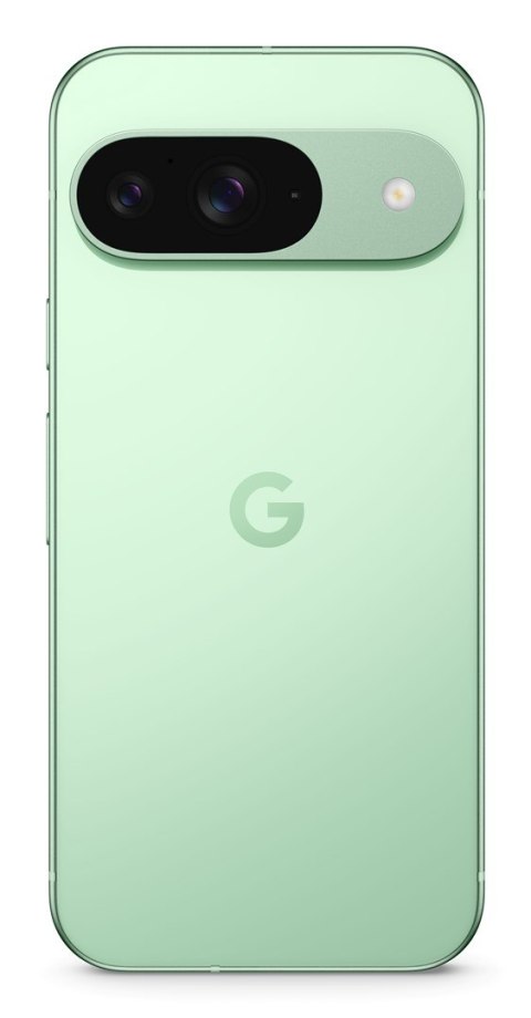 Google Smartfon Google Pixel 9 5G DualSIM 12/128GB Winter Green Google Smartfon Google Pixel 9 5G DualSIM 12/128GB Winter Green